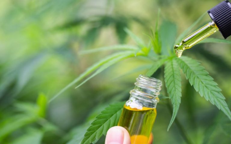 How to Take Hemp Oil and Finally Heal Your Body